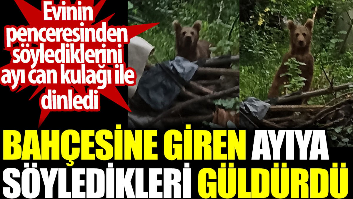 Bahçesine giren ayıya söyledikleri güldürdü. Evinin penceresinden söylediklerini ayı can kulağı ile dinledi