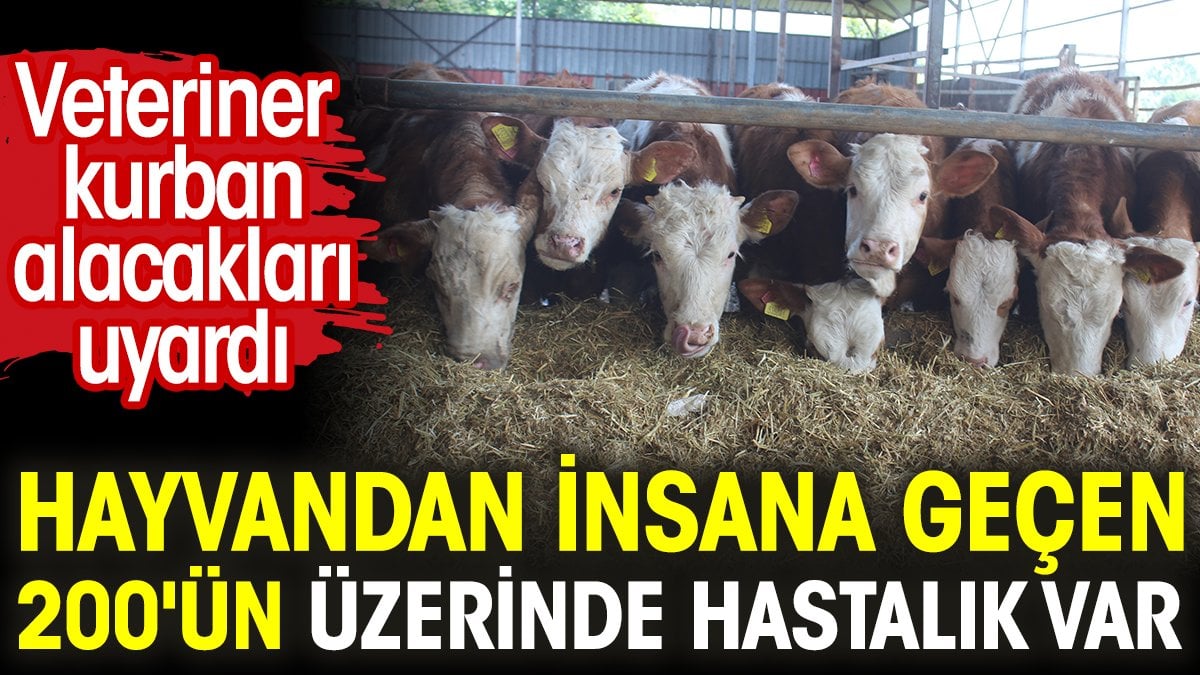 Hayvandan insana geçen 200’ün üzerinde hastalık var. Veteriner kurban alacakları uyardı