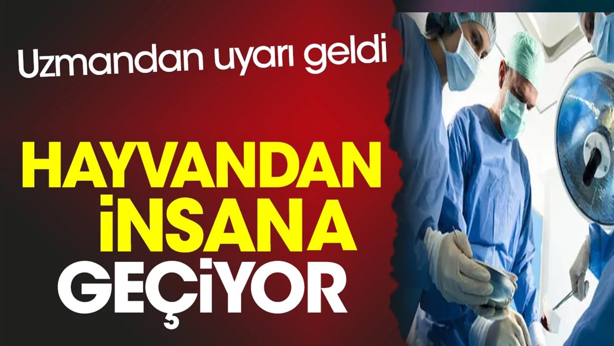 Uzmandan uyarı geldi. Hayvandan insana geçiyor