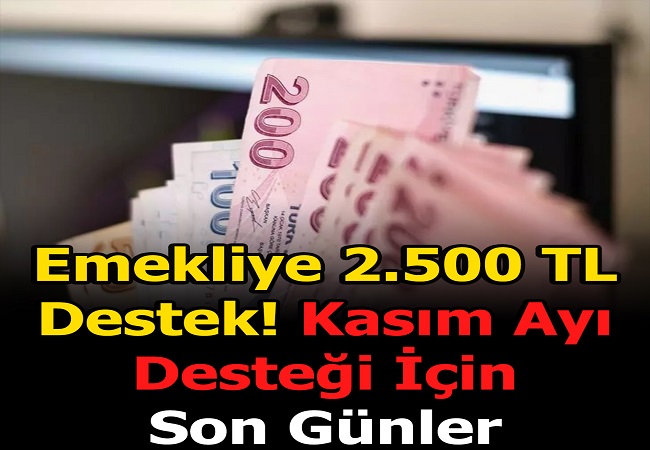 EMEKLİ’YE 2.500 TL DESTEK