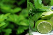 En İyi Detoks Yöntemleri