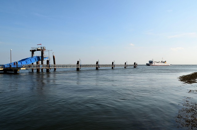 Yatırımcılar İçin Sıfırdan Portföy Oluşturma Rehberi