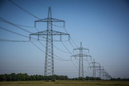 Yüksek Enerji İçin Protein Kaynakları