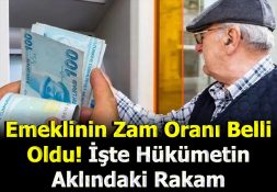 EMEKLİ’NİN ZAM ORANI BELLİ OLDU