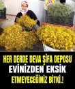 HER DERDE DEVA ŞİFA DEPOSU