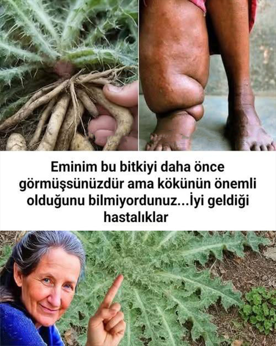 Şeker Hastalığına Şifa Oluyor Karaciğeri Toparlıyor